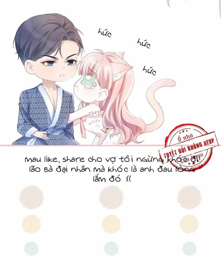 Tổ Sư Gia Đứng Đầu Lịch Sử