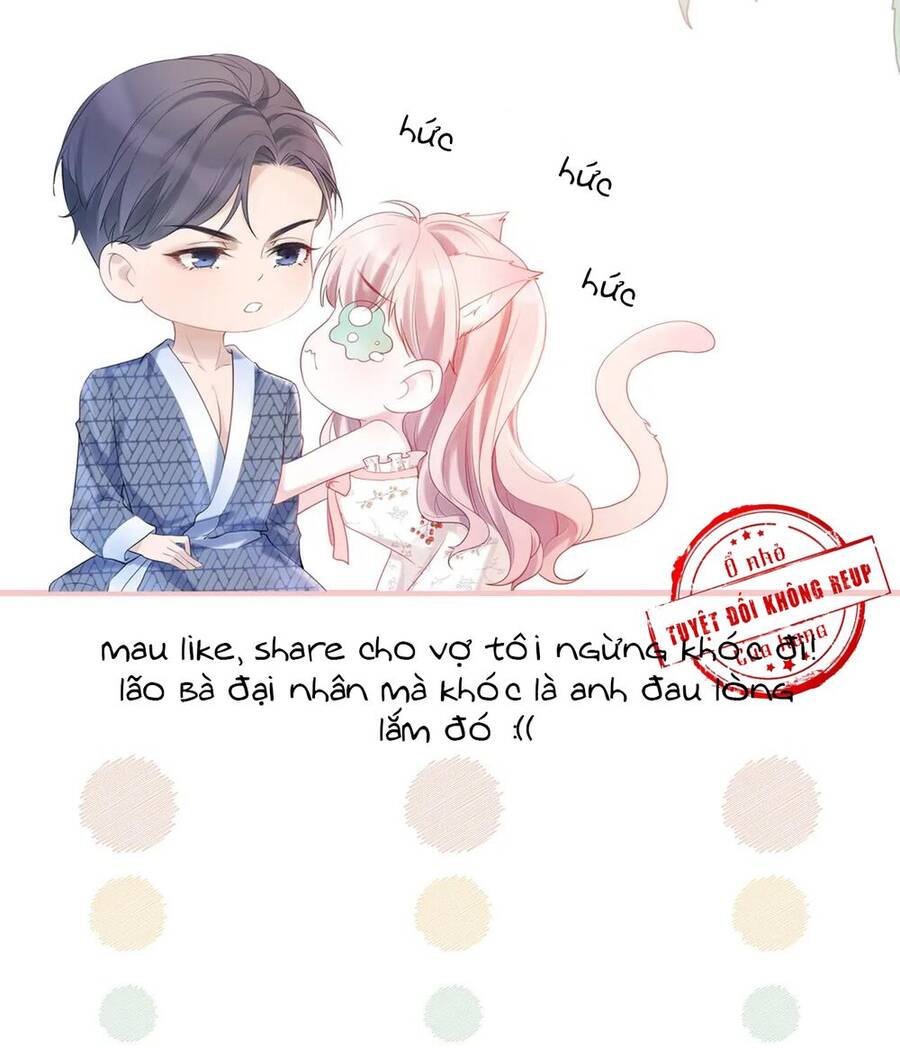 Tổ Sư Gia Đứng Đầu Lịch Sử