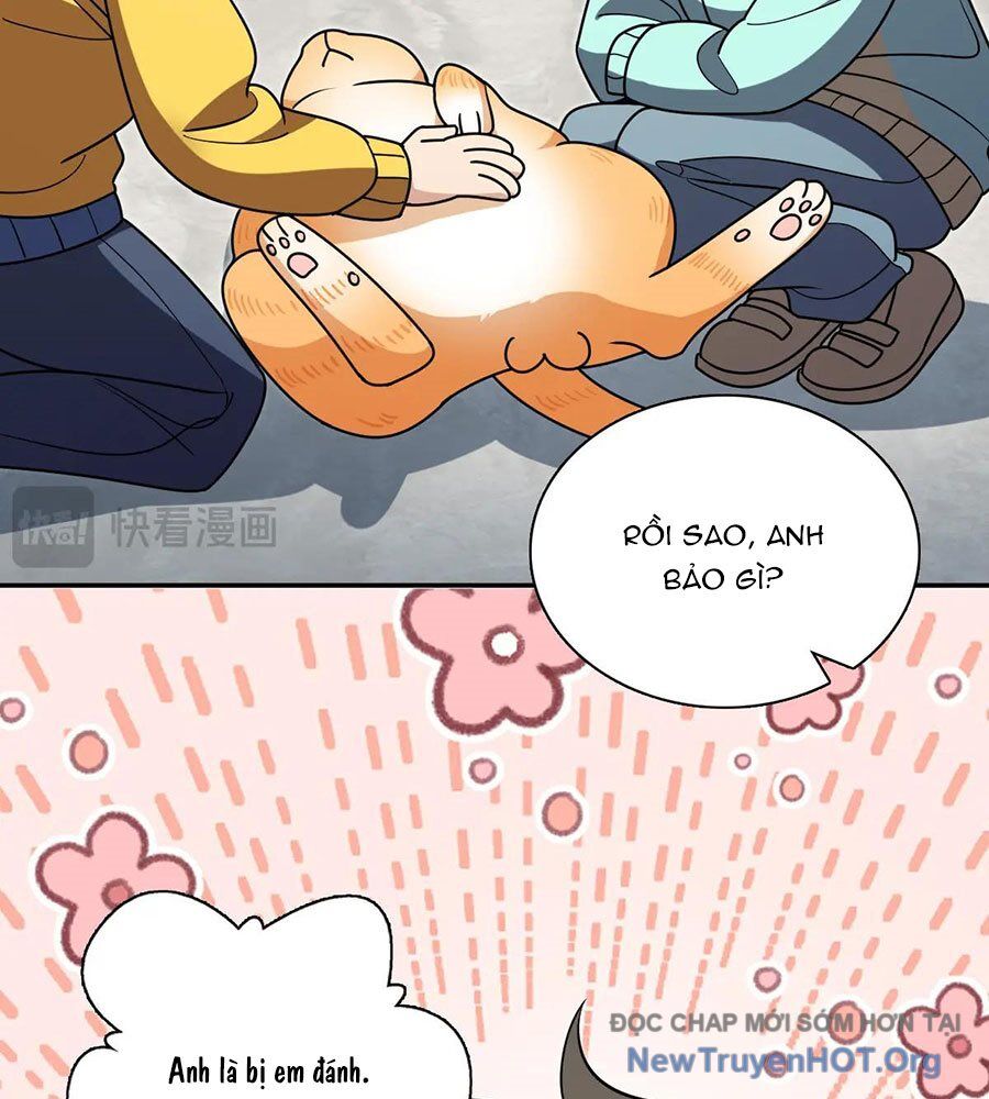 Bà xã nhà tôi đến từ ngàn năm trước