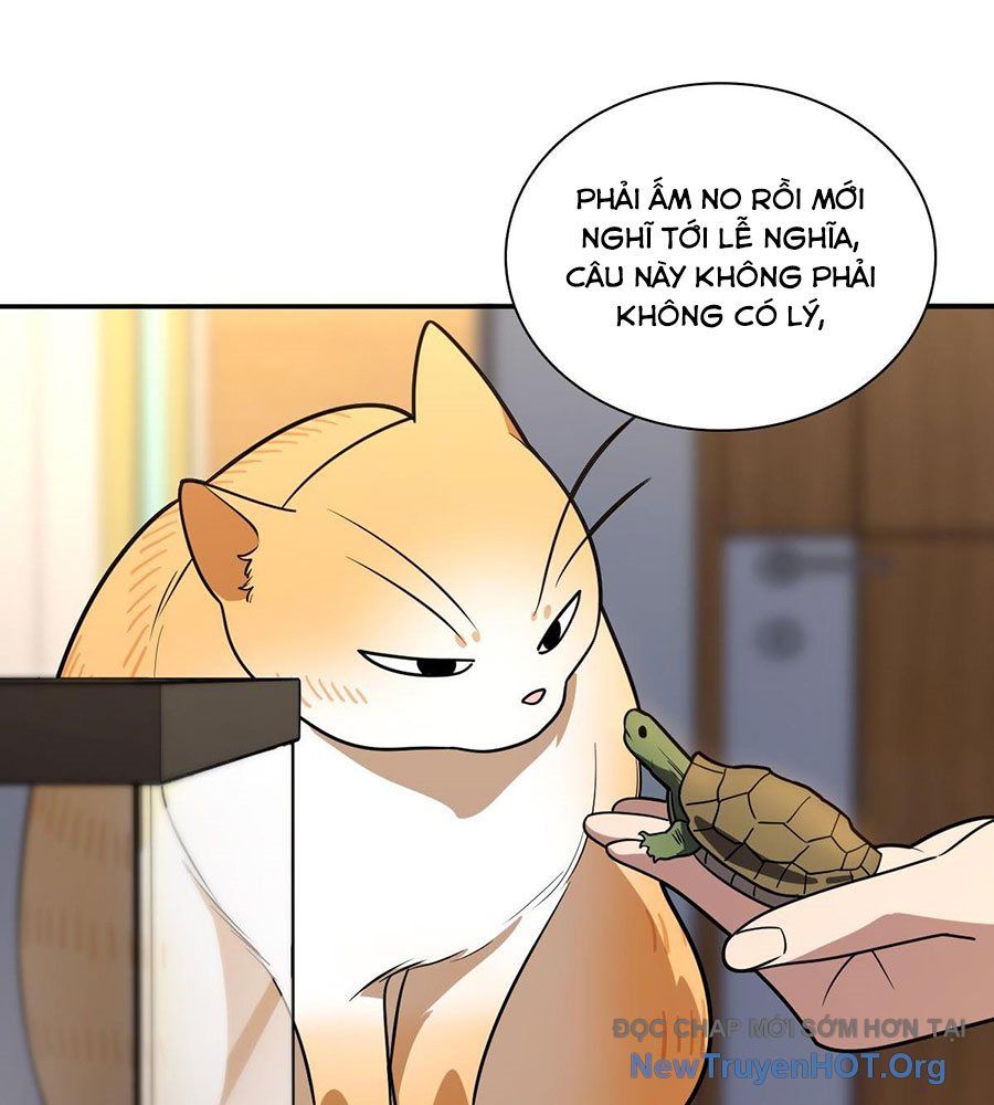 Bà xã nhà tôi đến từ ngàn năm trước
