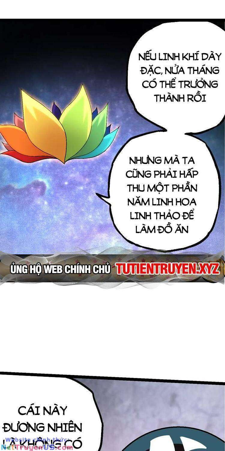 Chuyển Sinh Thành Liễu Đột Biến