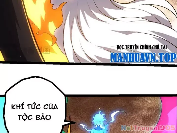Chuyển Sinh Thành Liễu Đột Biến