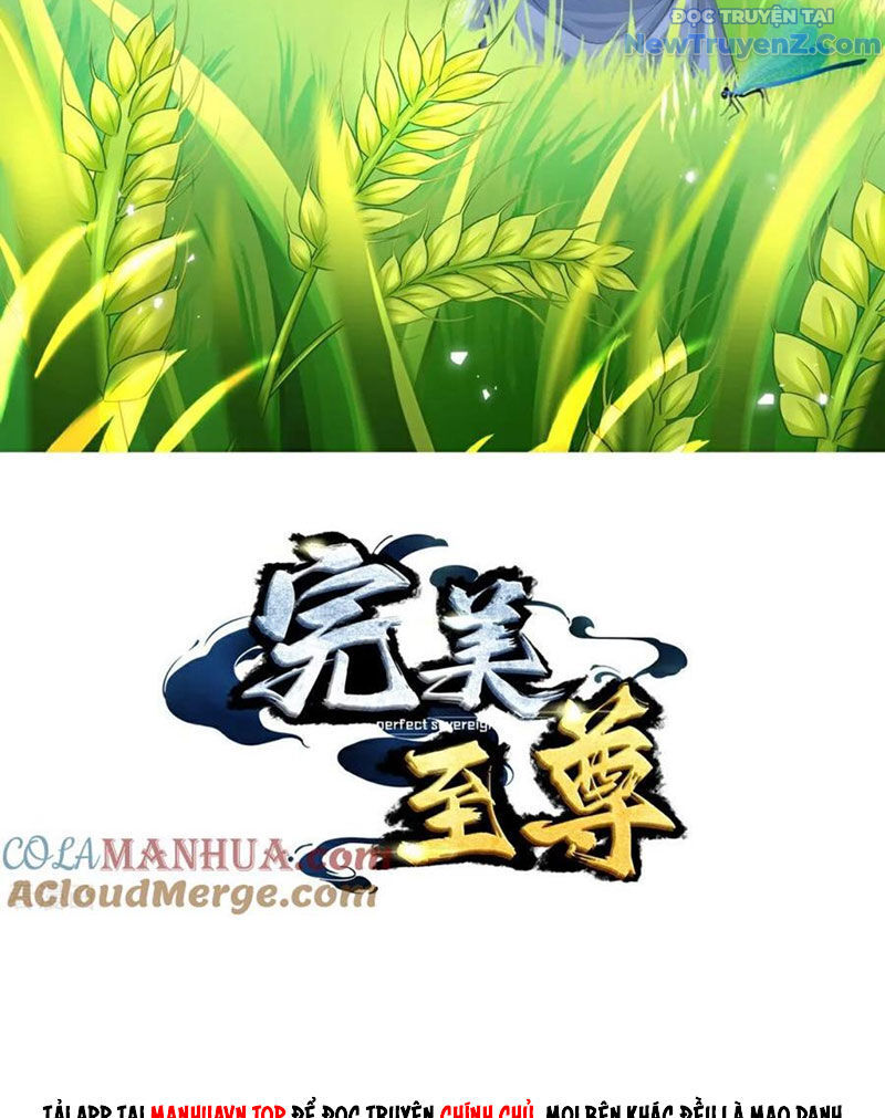 Chí tôn hoàn mỹ