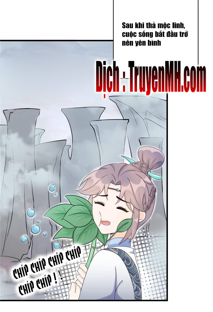 đồ đệ nhà ta lại quải rồi