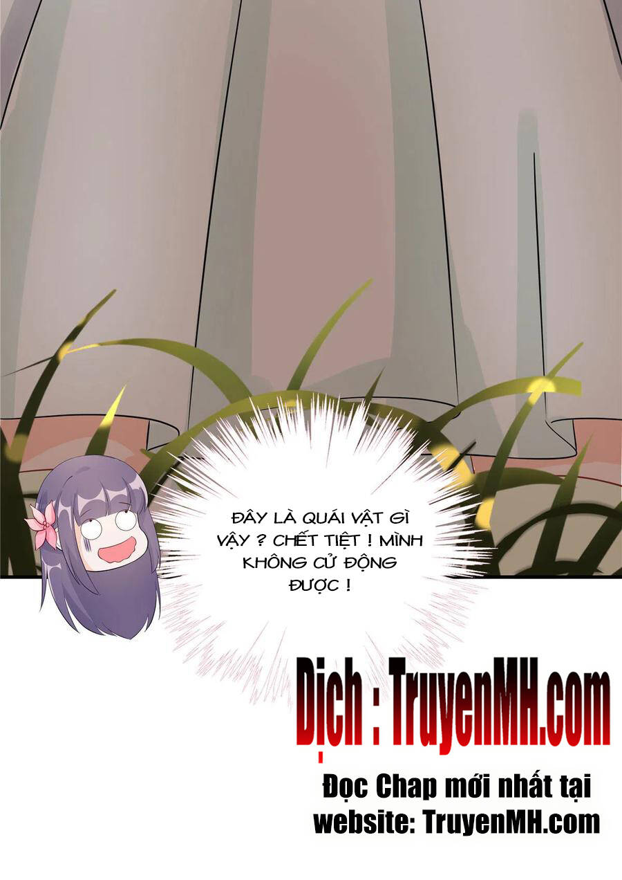 đồ đệ nhà ta lại quải rồi