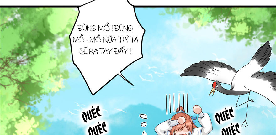 đồ đệ nhà ta lại quải rồi