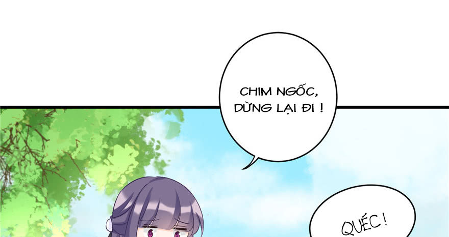 đồ đệ nhà ta lại quải rồi