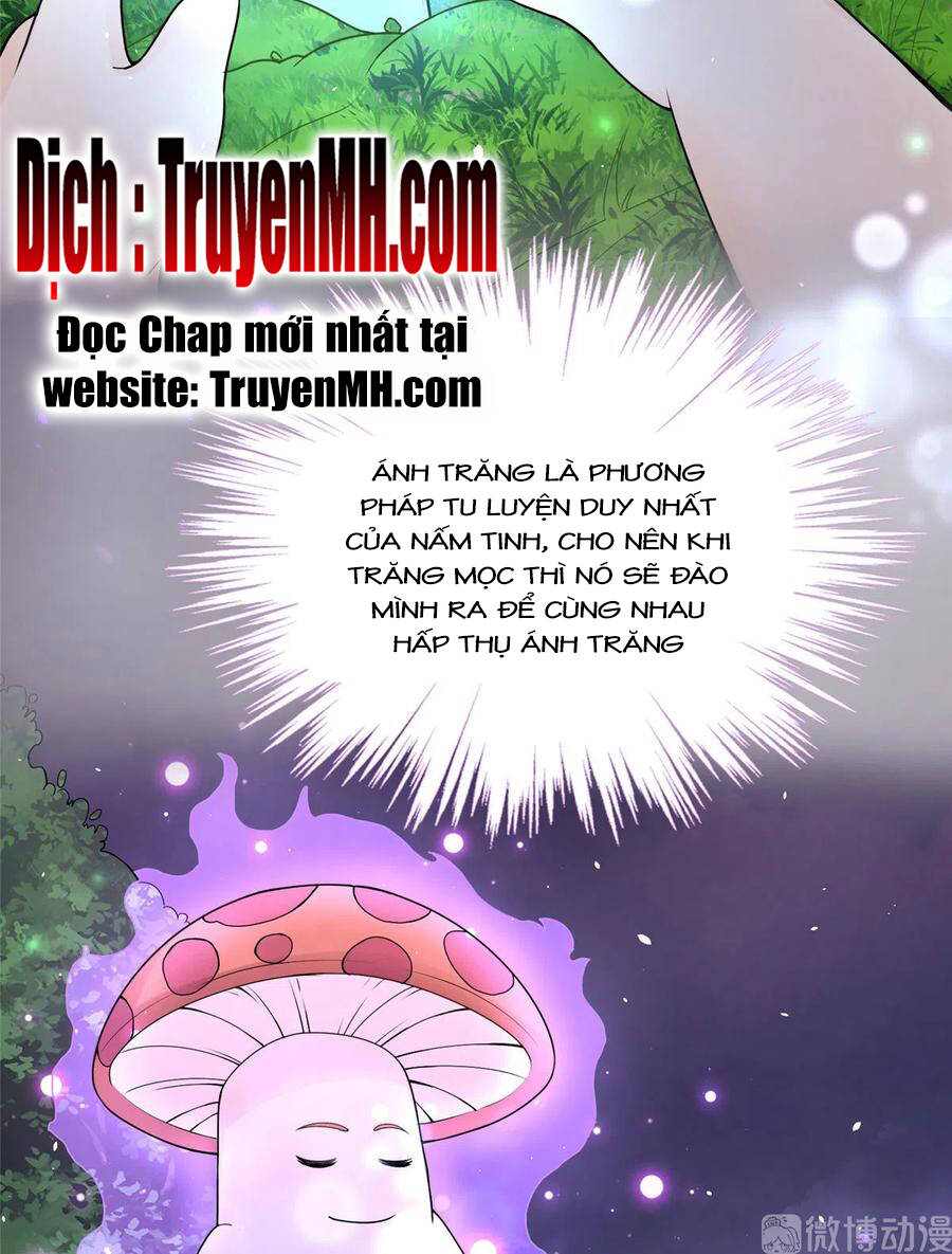 đồ đệ nhà ta lại quải rồi