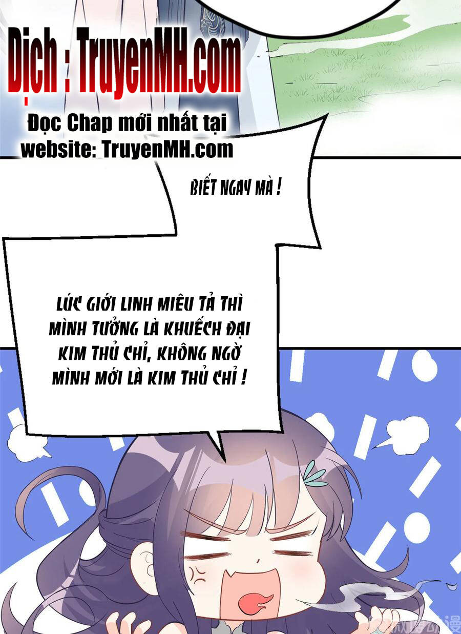 đồ đệ nhà ta lại quải rồi
