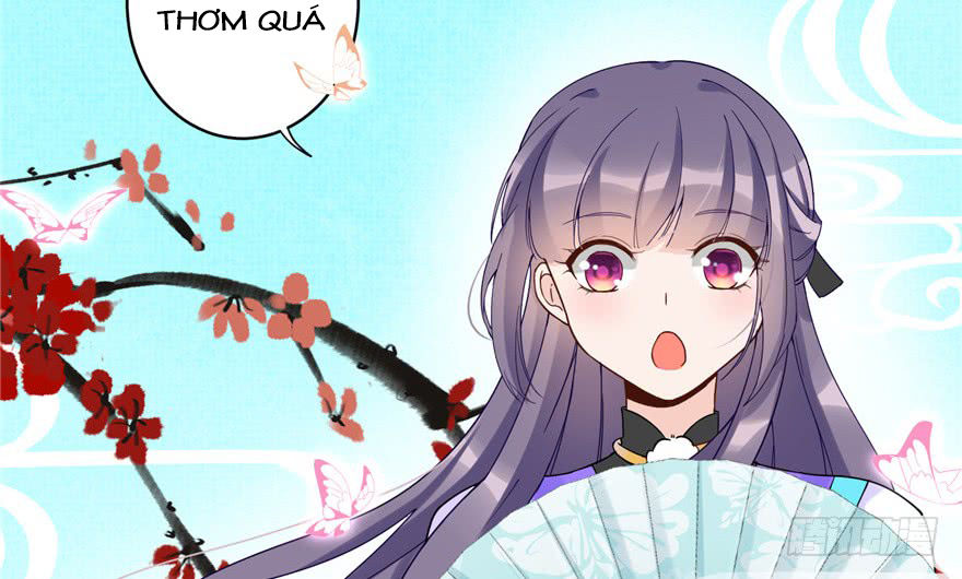 đồ đệ nhà ta lại quải rồi
