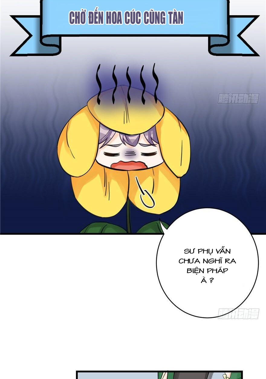đồ đệ nhà ta lại quải rồi