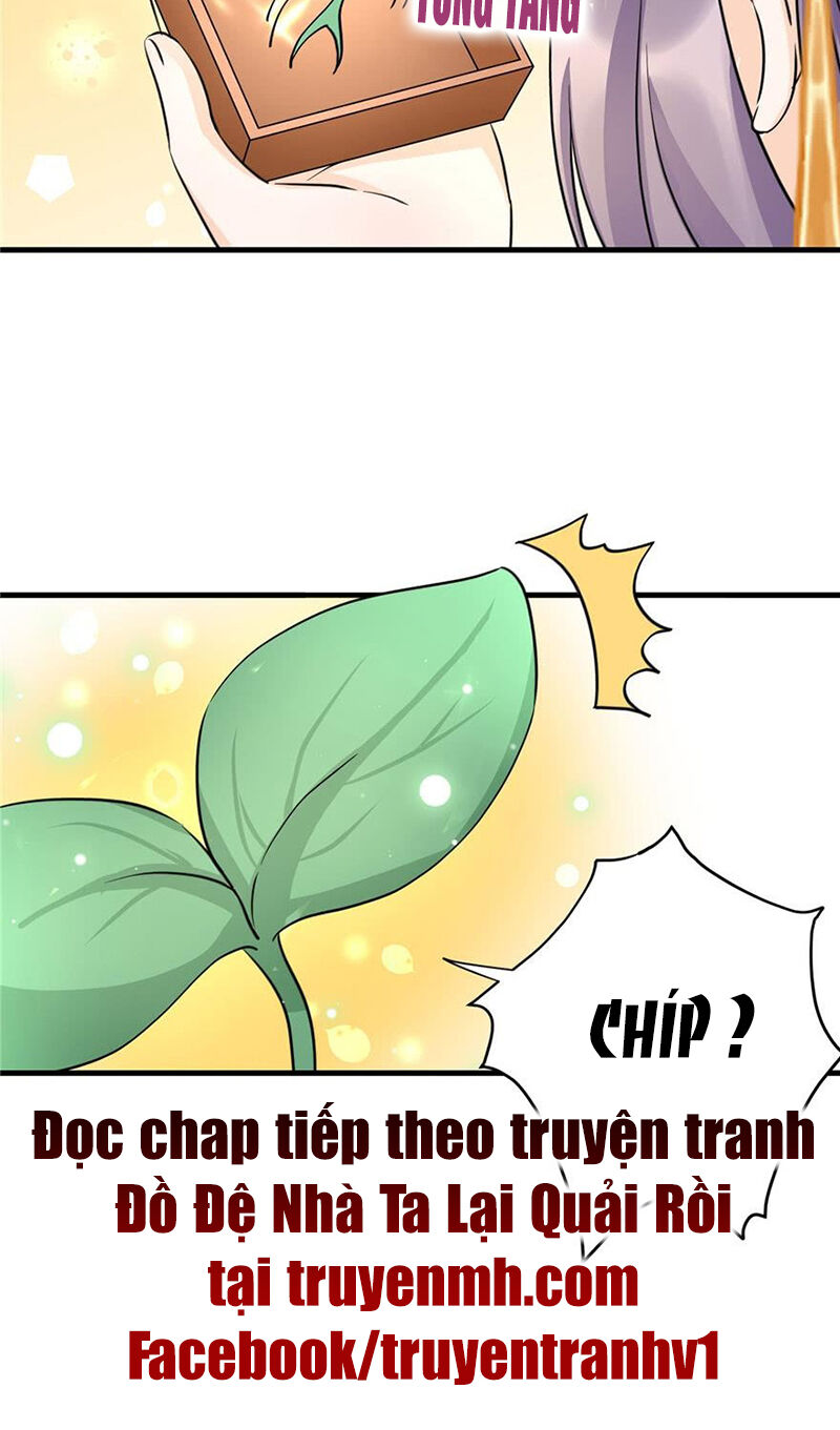 đồ đệ nhà ta lại quải rồi