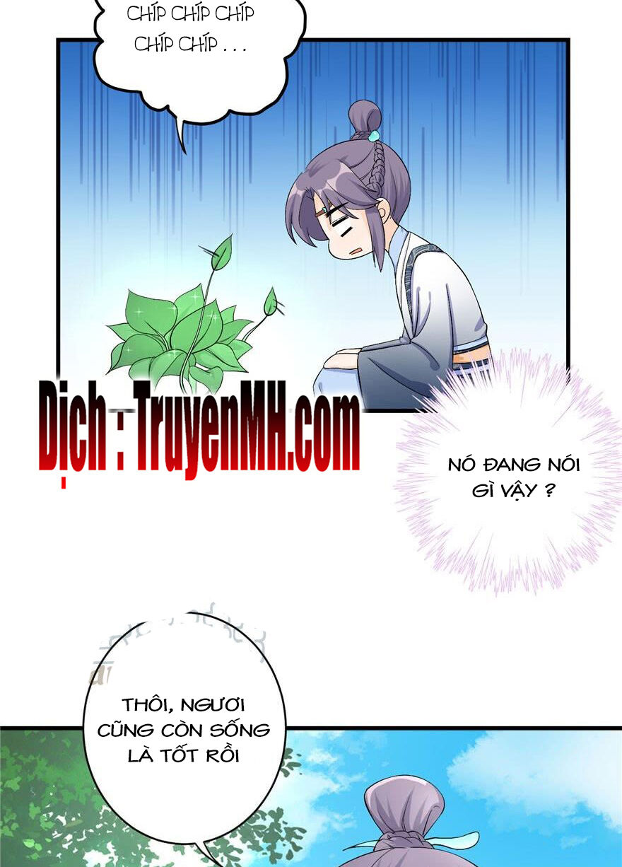 đồ đệ nhà ta lại quải rồi