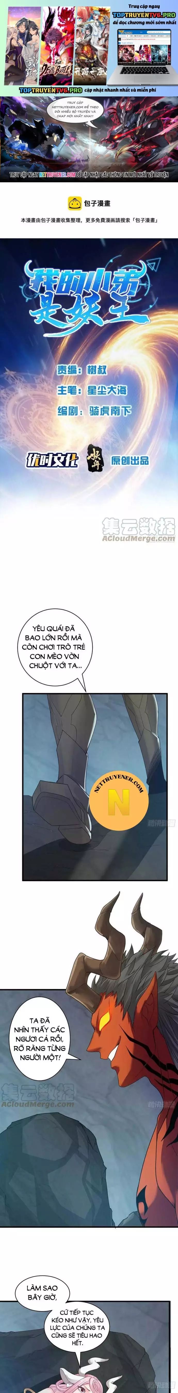 Tiểu đệ của ta là yêu vương