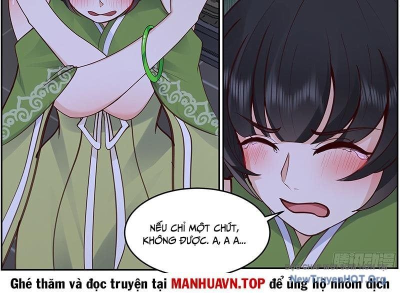 Nhân vật phản diện đại sư huynh, tất cả các sư muội đều là bệnh kiều