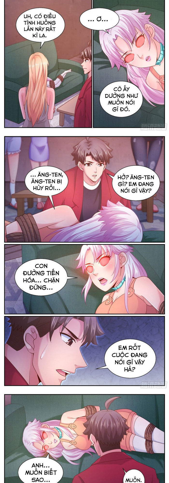 Ta có phòng riêng thời tận thế