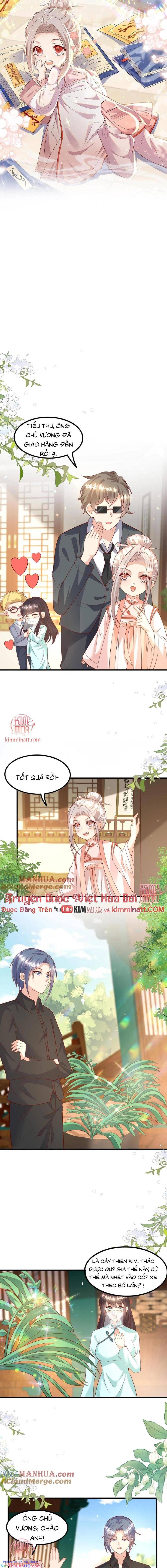 Tiểu manh bảo bốn tuổi theo sư phụ xuống núi