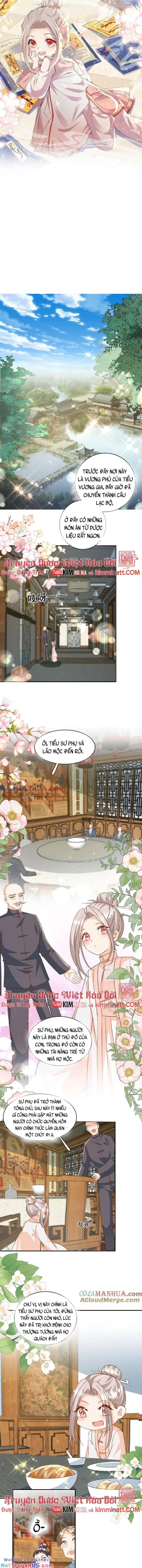 Tiểu manh bảo bốn tuổi theo sư phụ xuống núi