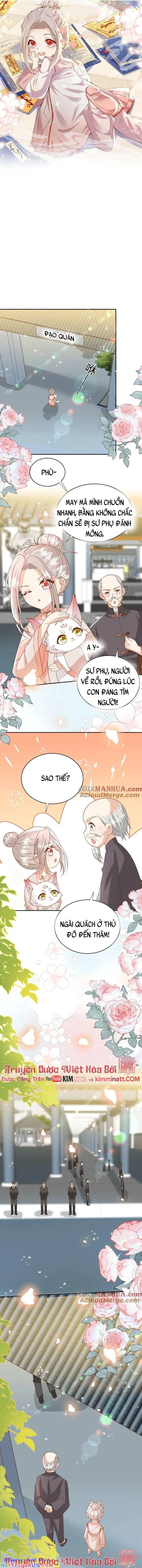 Tiểu manh bảo bốn tuổi theo sư phụ xuống núi