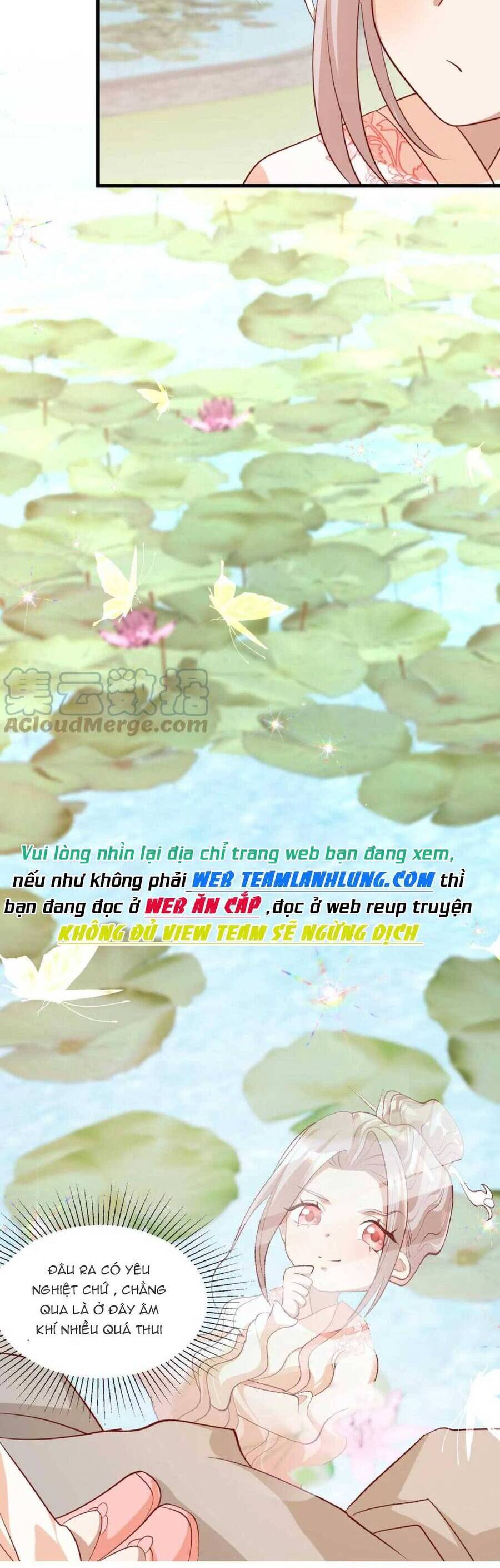 Tiểu manh bảo bốn tuổi theo sư phụ xuống núi