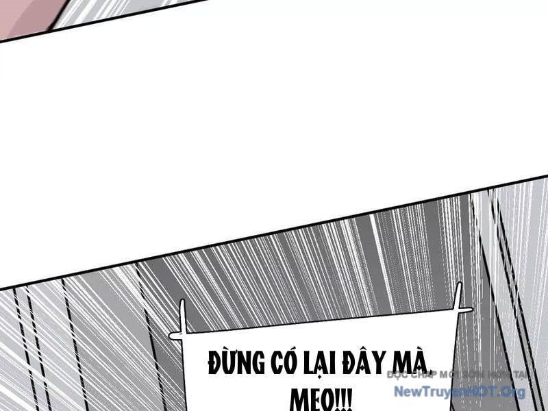 Cương thi tiên sinh