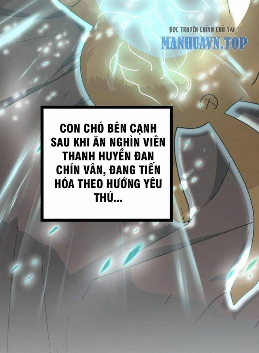 Thiên khải bại gia