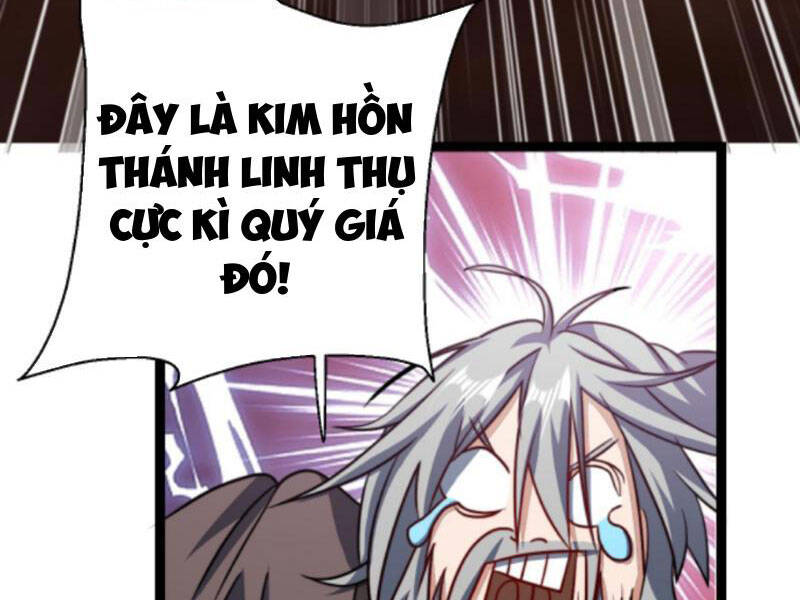 Thiên khải bại gia