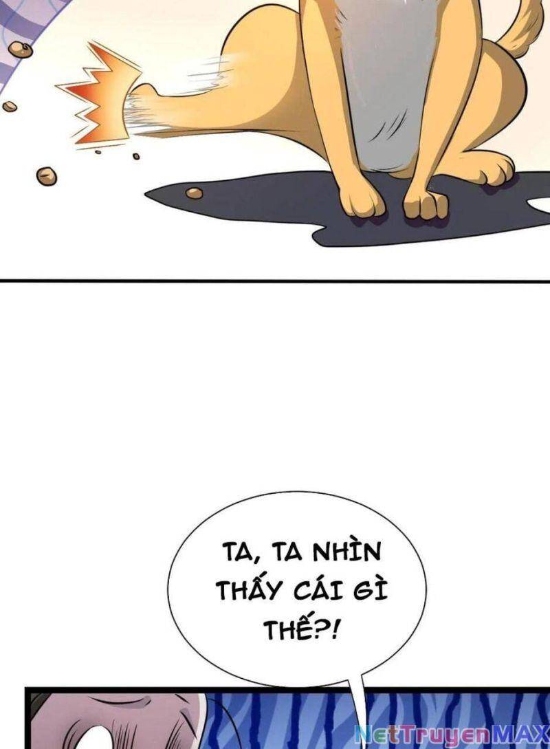 Thiên khải bại gia