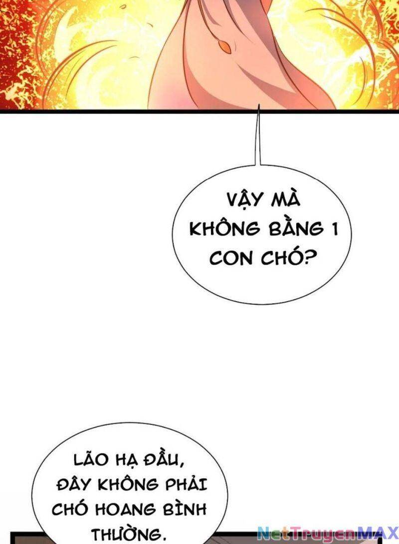 Thiên khải bại gia