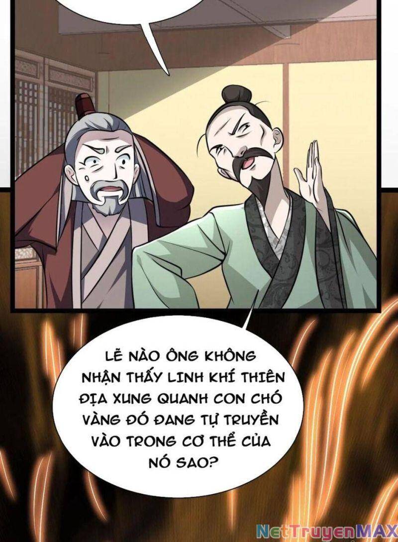 Thiên khải bại gia