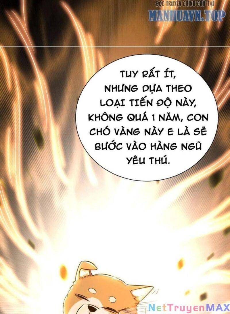 Thiên khải bại gia