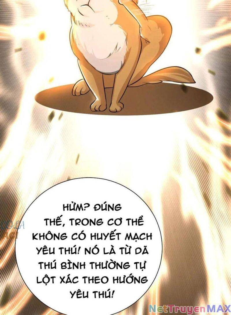 Thiên khải bại gia