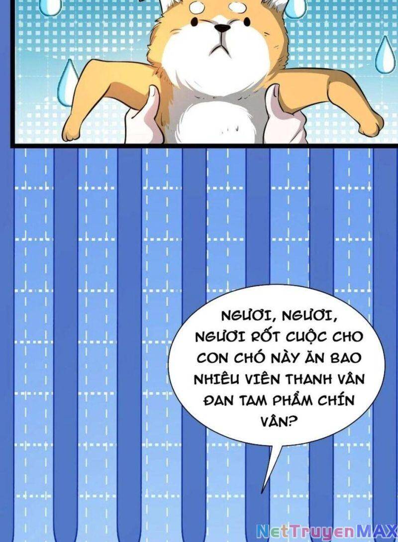 Thiên khải bại gia