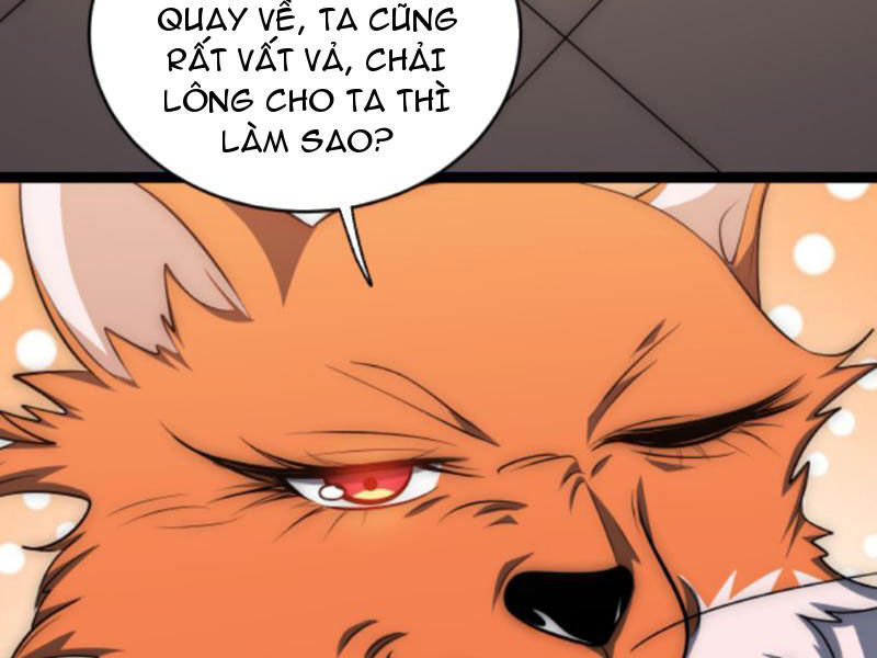 Thiên khải bại gia