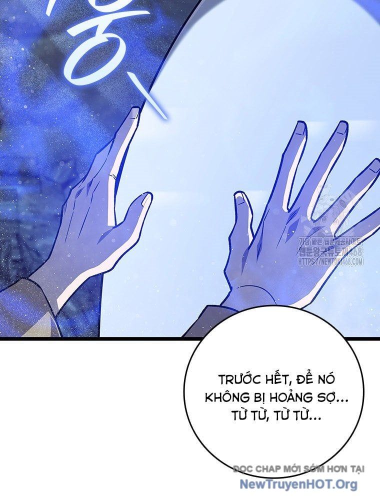 Thực long ma pháp sư