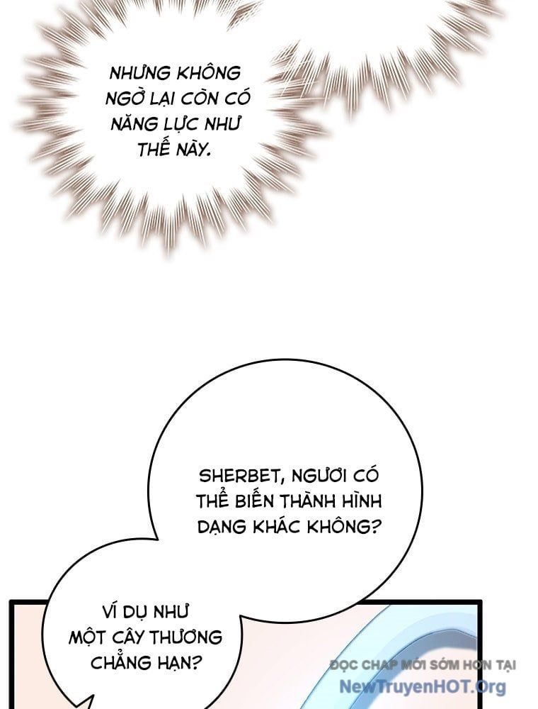 Thực long ma pháp sư