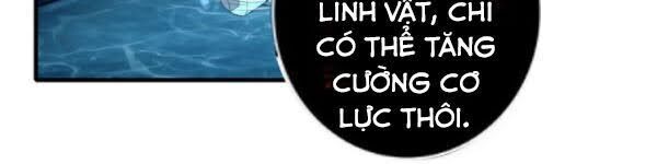 Người Đưa Thư Vô Hạn