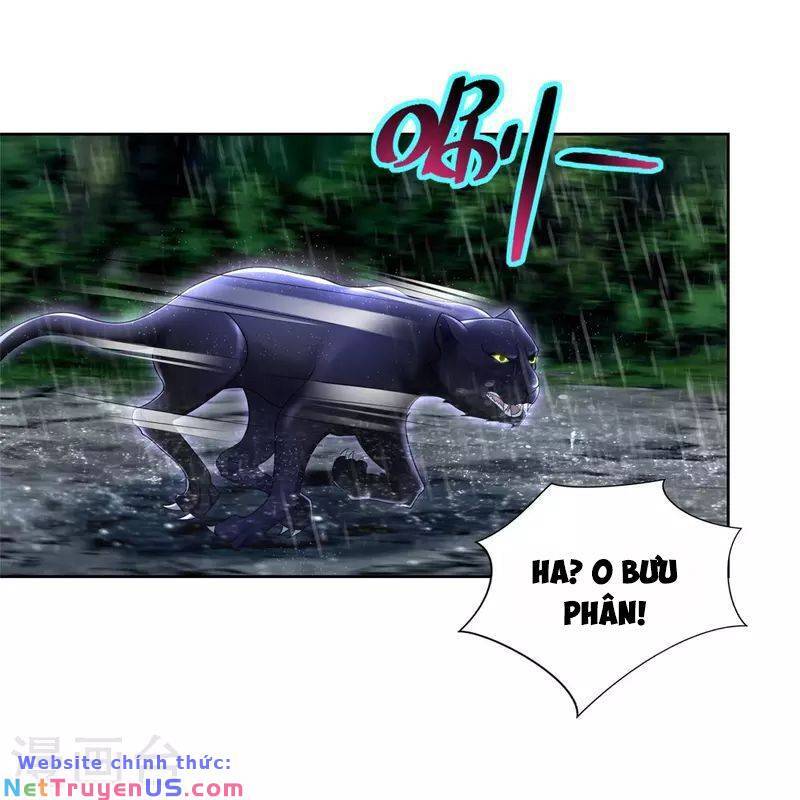 Người Đưa Thư Vô Hạn