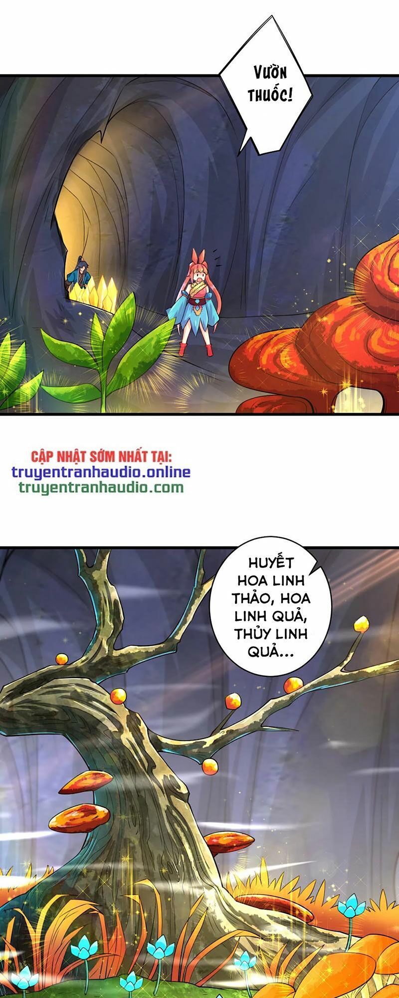 Nhất đẳng gia đinh