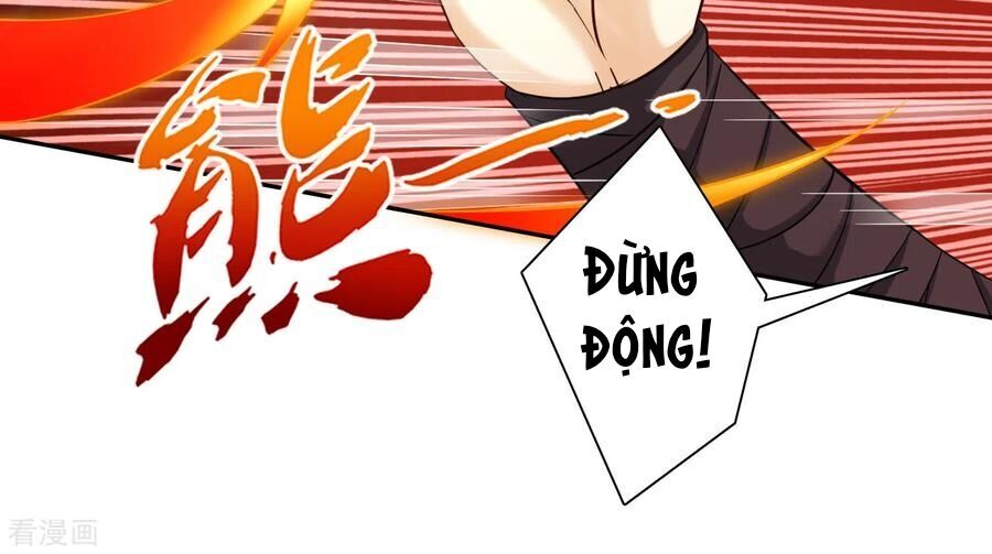 Nhất đẳng gia đinh