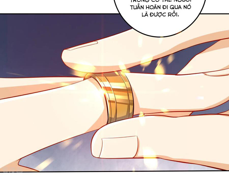 Nhất đẳng gia đinh