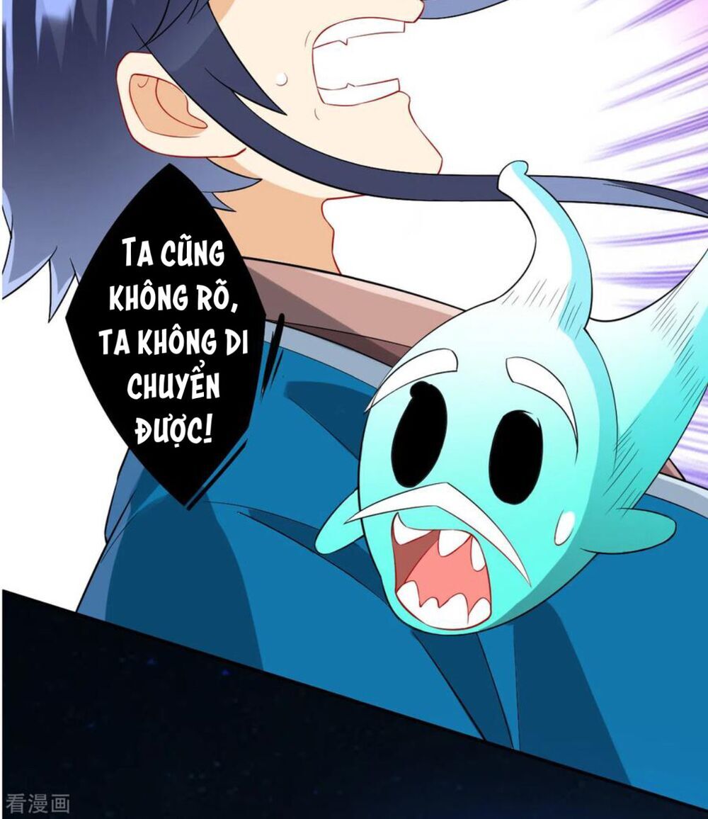 Nhất đẳng gia đinh