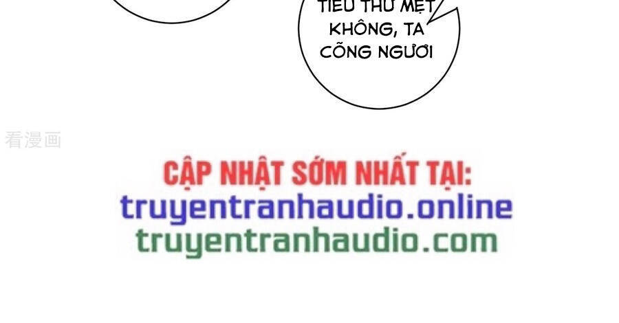 Nhất đẳng gia đinh