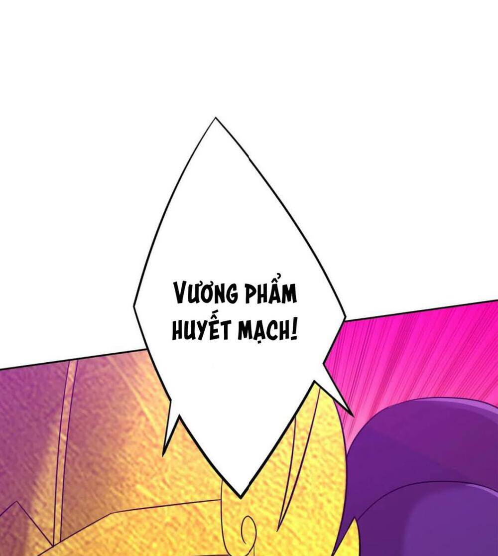 Nhất đẳng gia đinh