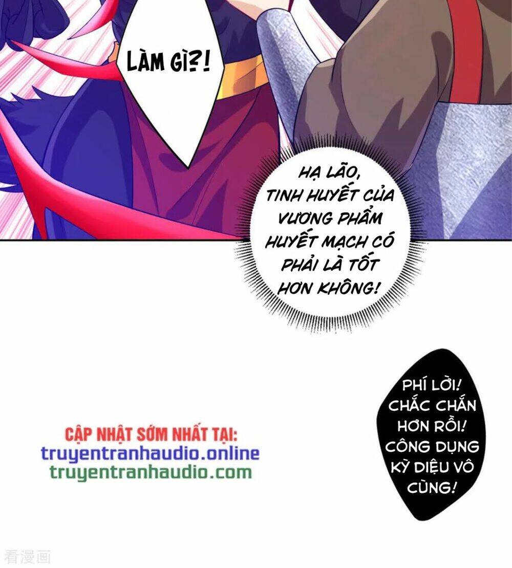 Nhất đẳng gia đinh