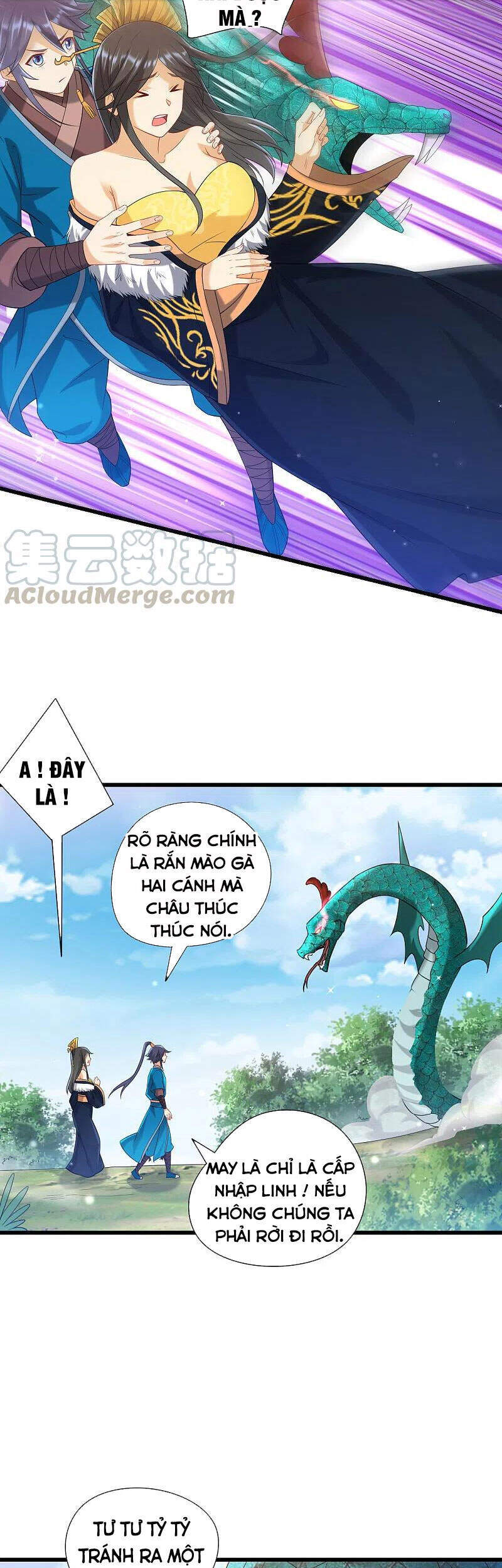 Nhất đẳng gia đinh