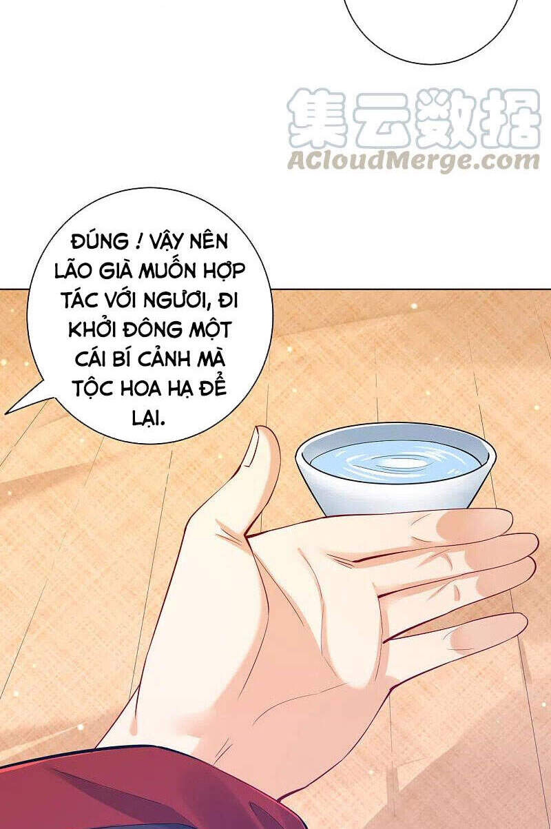 Nhất đẳng gia đinh