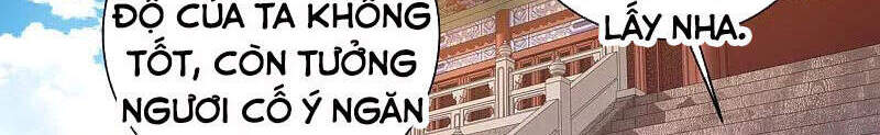 Nhất đẳng gia đinh