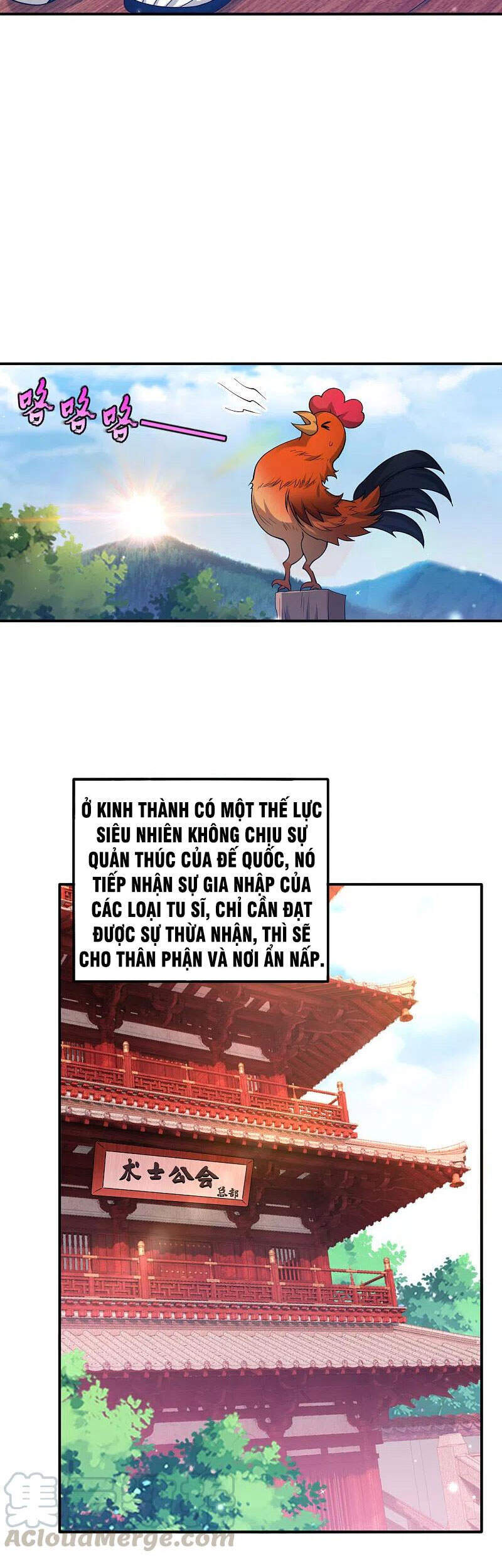 Nhất đẳng gia đinh