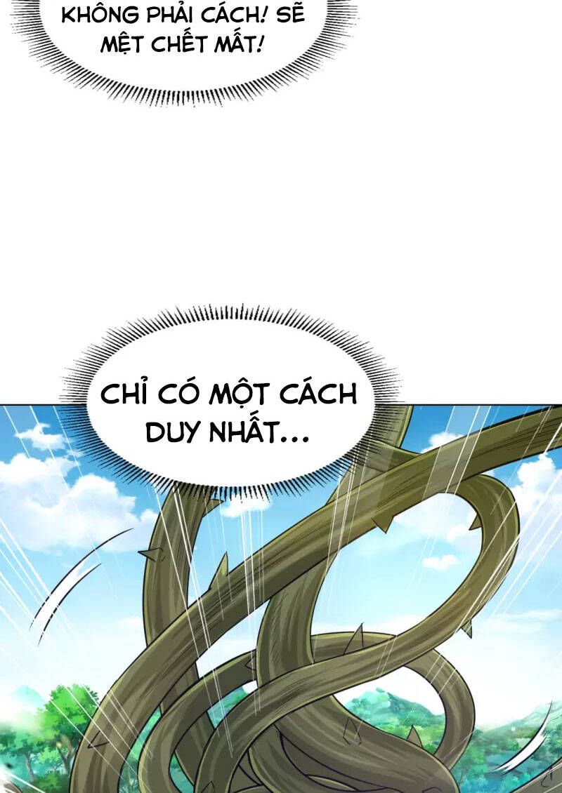 Nhất đẳng gia đinh